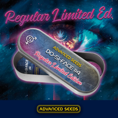 Advanced DoSiDos 4  (5 Reg)