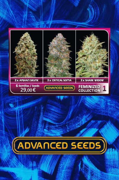 Advanced Feminised Collection 1 (3 x 2 FEM) (Afghan Skunk Critical Soma Shark Widow)