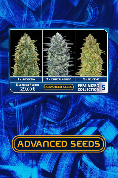 Advanced Feminised Collection 5 (3 x 2 FEM) (Amnesia Critical Lemon Skunk 47)